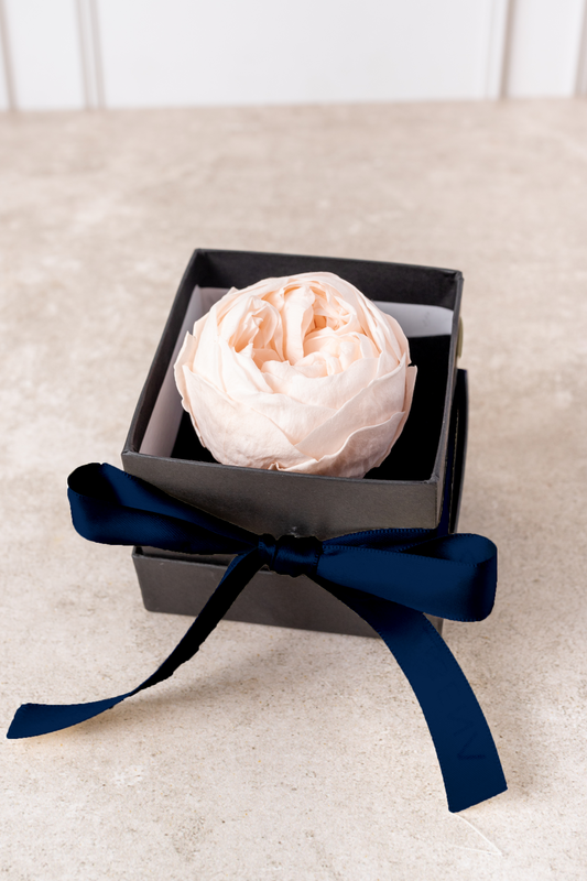 Eternal Peony - Flower