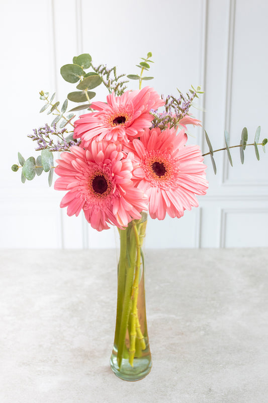 Pequeño Arcoíris Flores - Gerbera Rosa