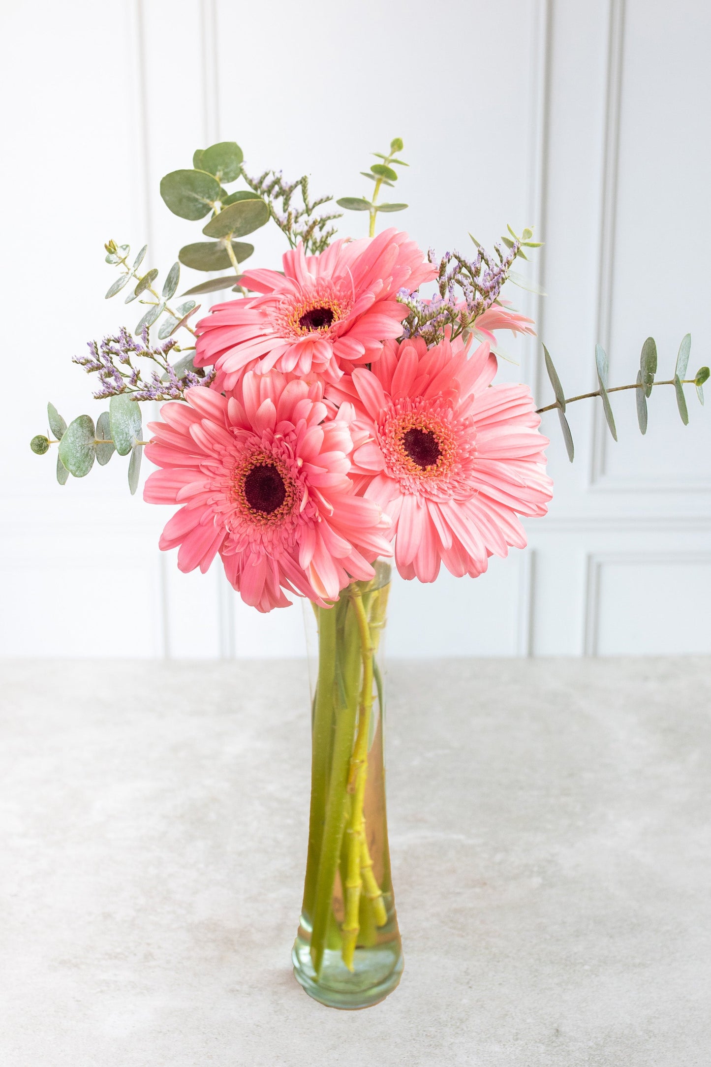 Pequeño Arcoíris Flores - Gerbera Rosa PTO. ESCOND.