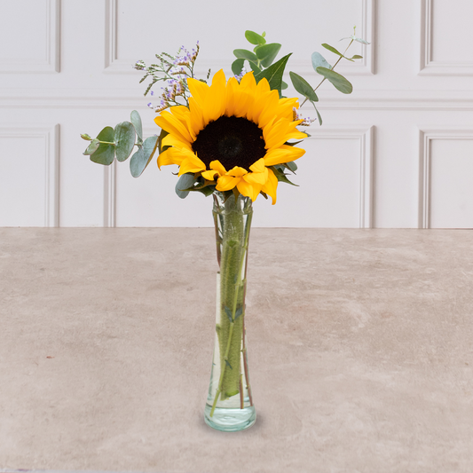 Rayito de Sol - Girasol