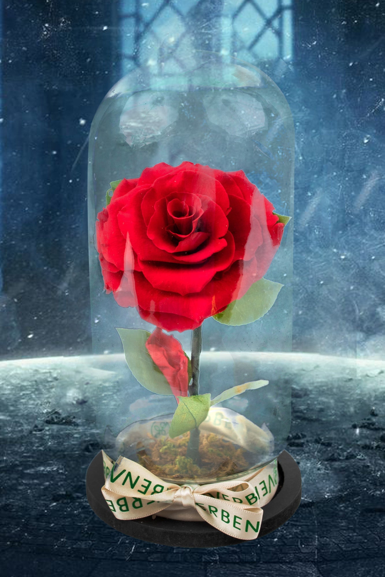 Rosa de la Bella y la Bestia - Rosa en Cristal.