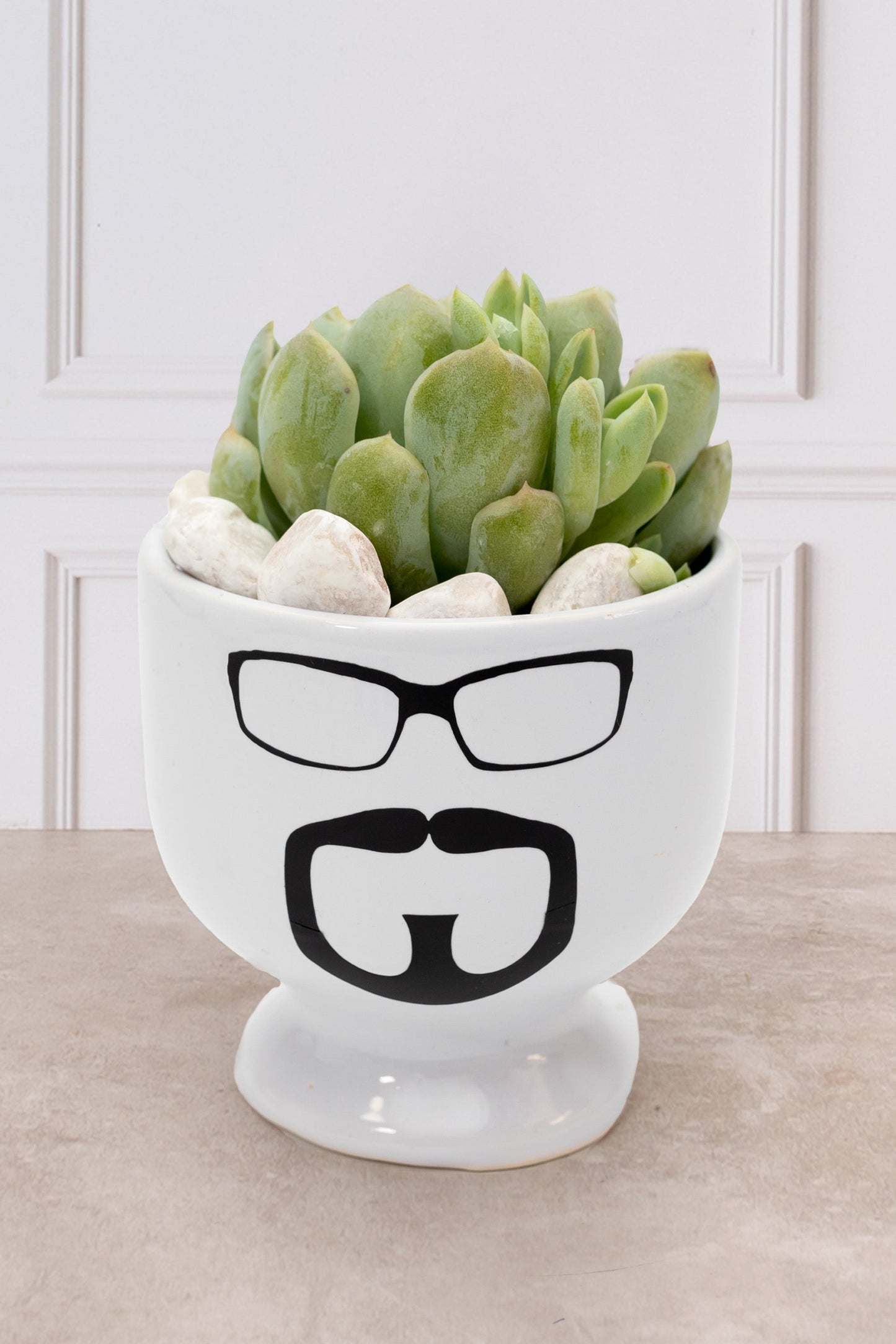 Suculenta - Copa Carita Chica con Lentes