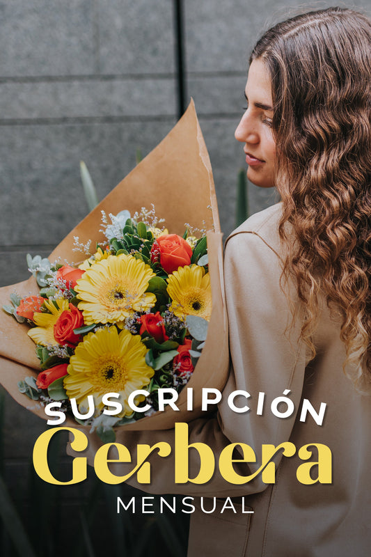 Suscripción Gerberas Mensual SLP