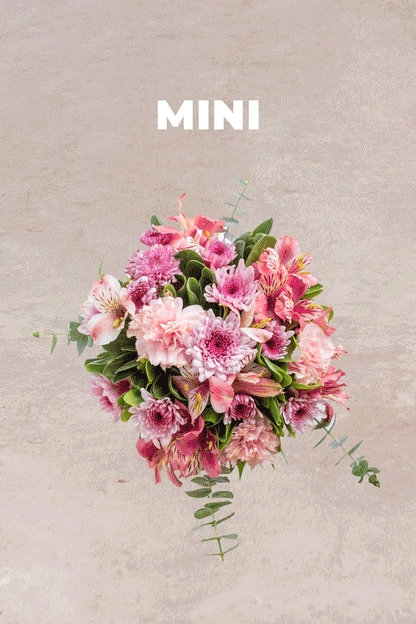 Suscripción Semanal SLP