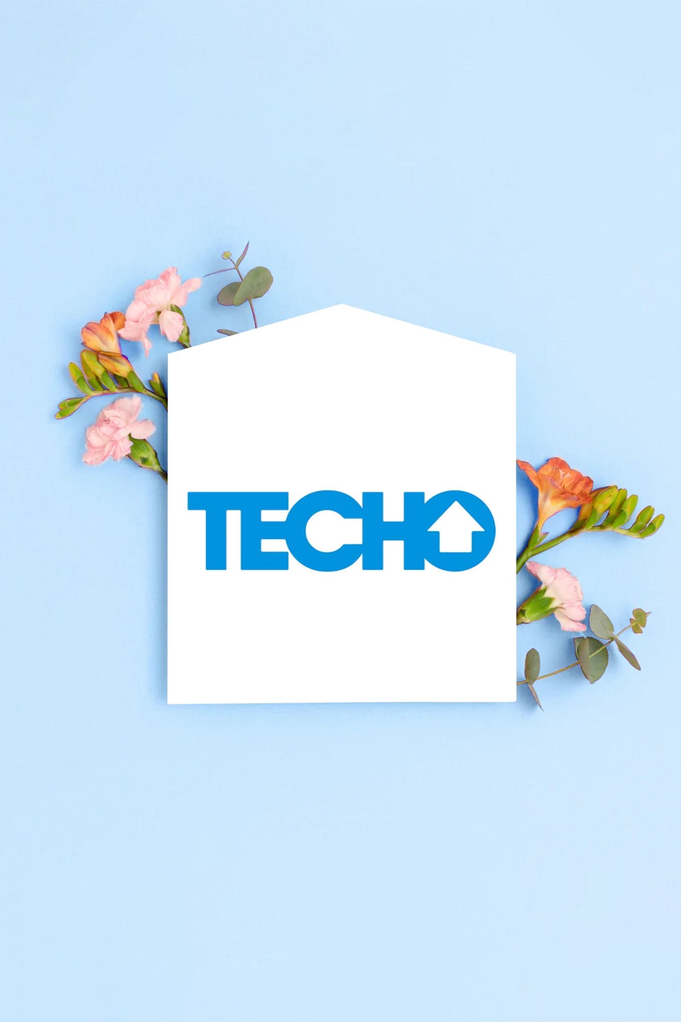 Bouquet TECHO - Clavel Blanco y Rosa Roja TGZ