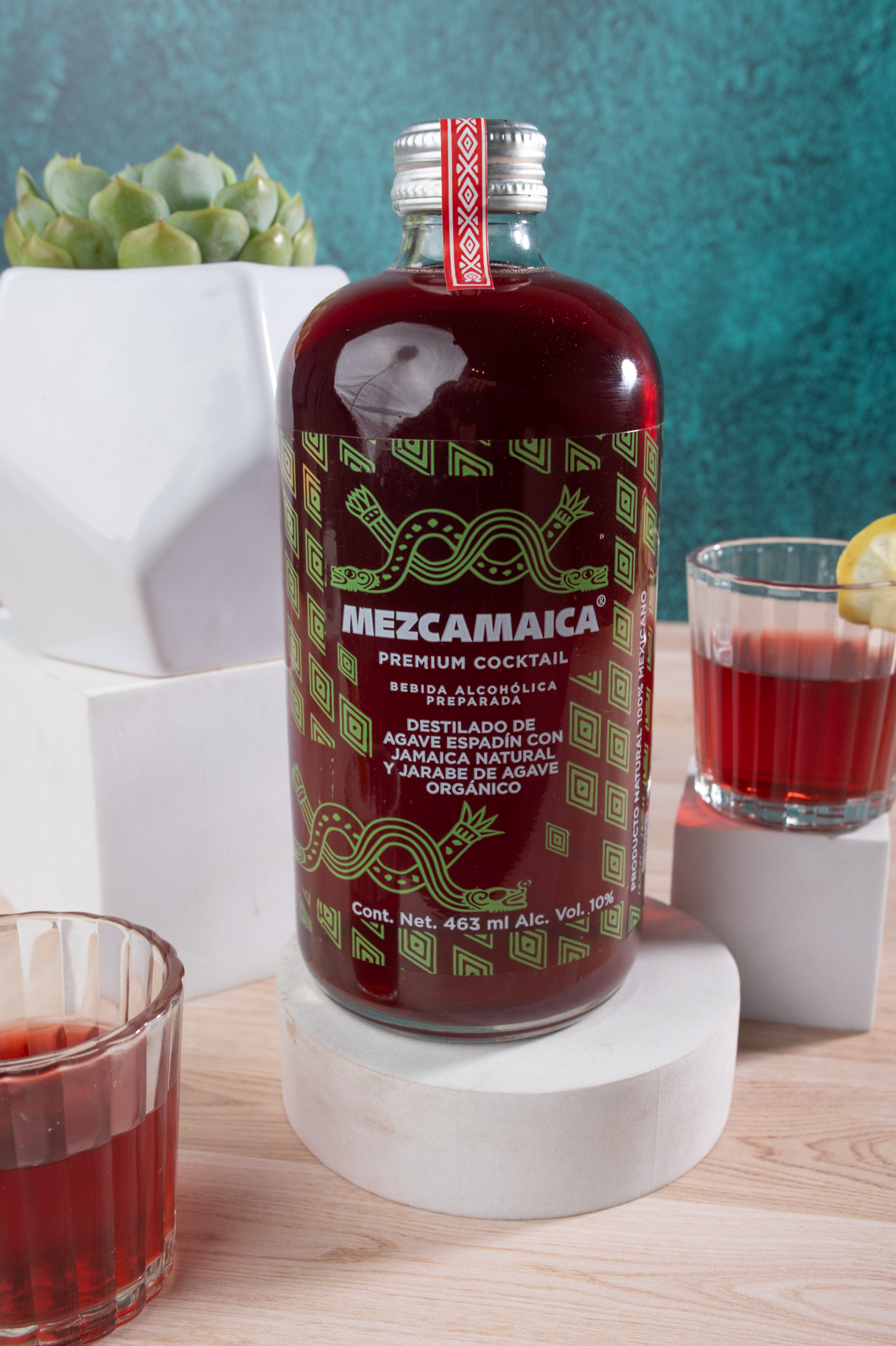 Kit Mezcamaica - Mezcal, Suculenta y Vasos
