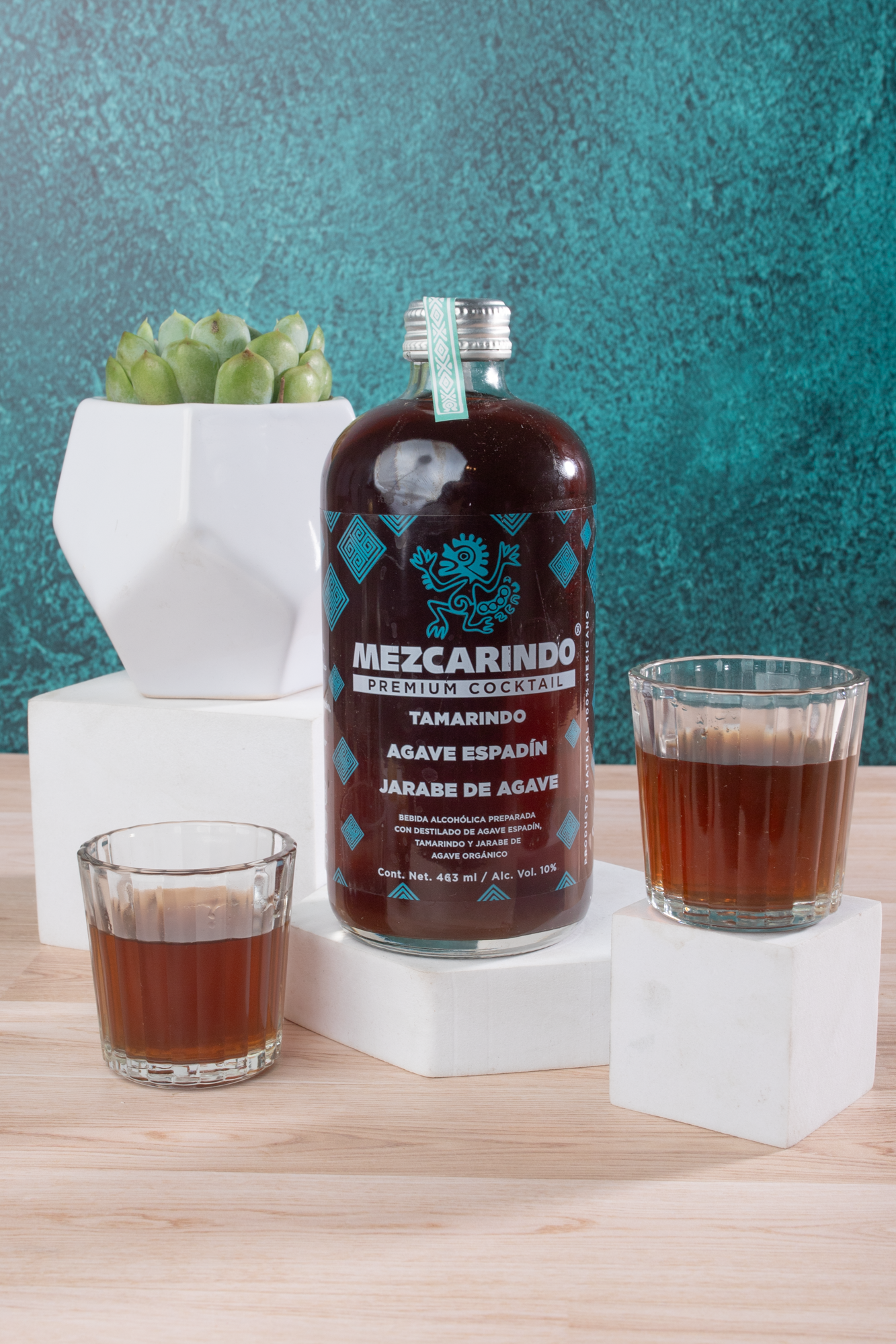Kit Mezcarindo - Mezcal, Chocolates, Cacahuates + Suculenta