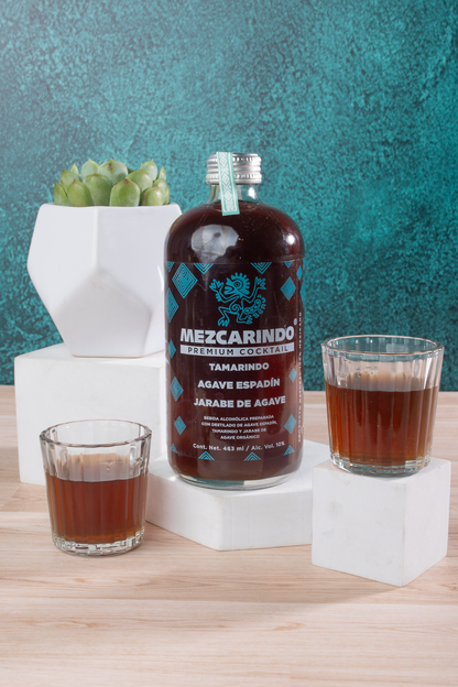 Kit Mezcarindo - Mezcal, Chocolates, Cacahuates + Suculenta