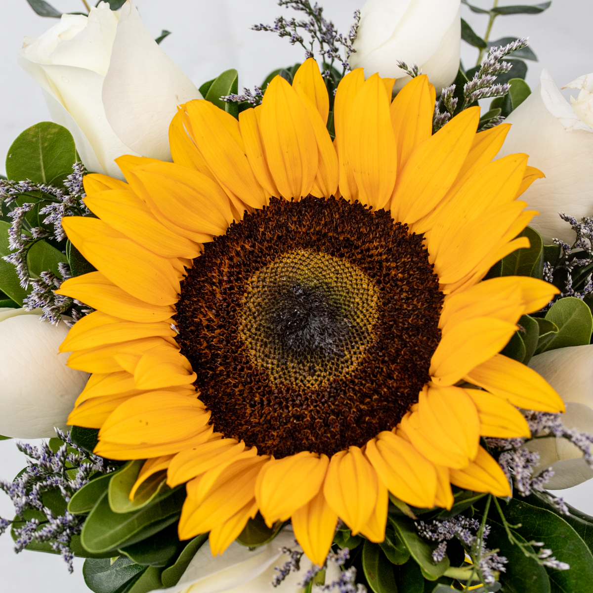 Puesta de Sol - 1 Girasol y Rosa Blanca | Verbena 21S