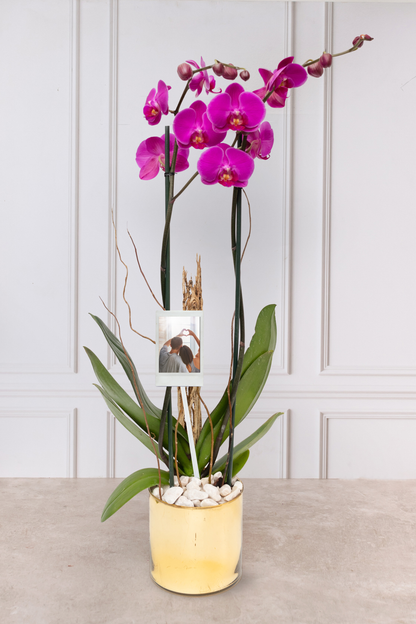Orquídea Morada con Foto Personalizada - Maceta Blanca, Varas de Curly y Esqueleto