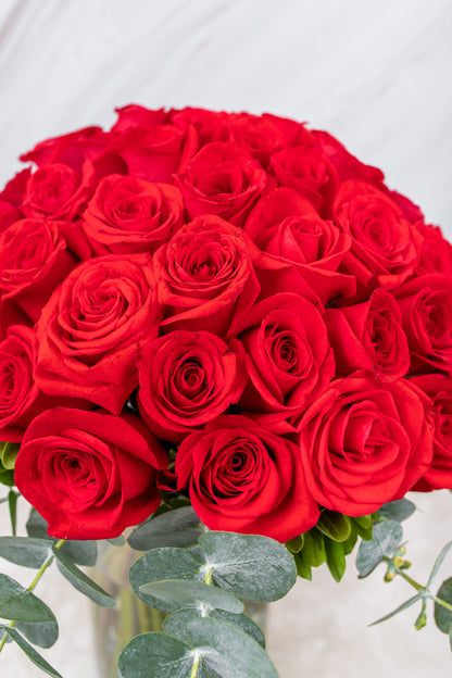 La Vida en Rosa - Rosas Rojas