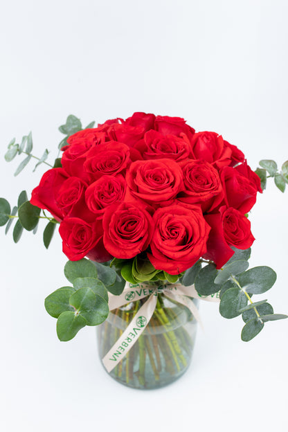 La Vida en Rosa / Rosas Rojas M Slp