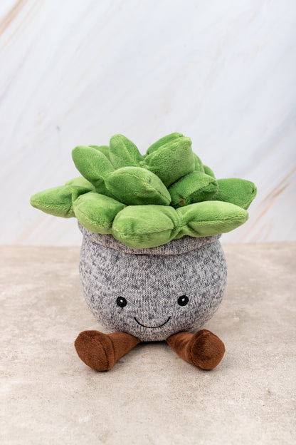 Suculenta -  Peluche