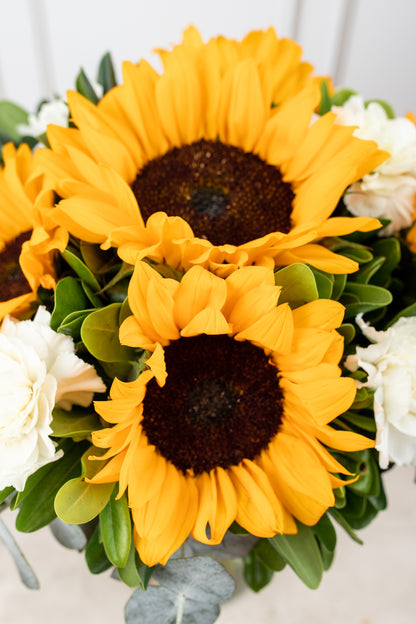 Cuando Calienta el Sol - Girasol y Clavel Blanco GDL