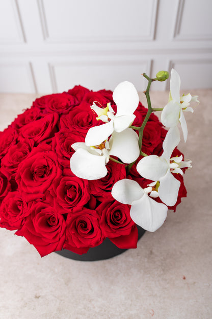 Rojo Escarlata - Caja de Rosas Rojas con Orquídea Blanca