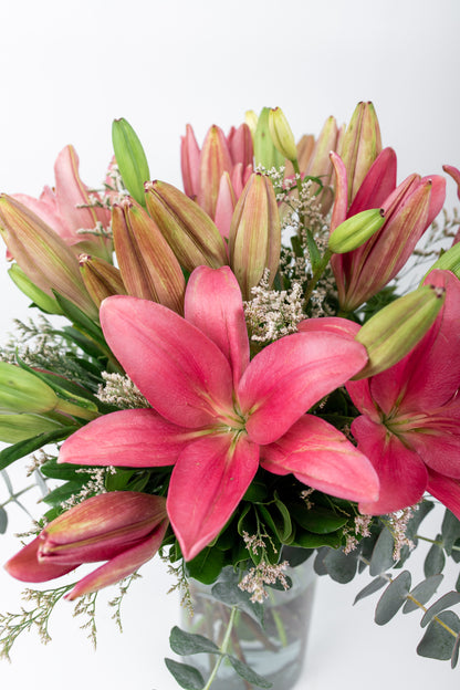 Las Brisas / Lilium Rosa M SLP