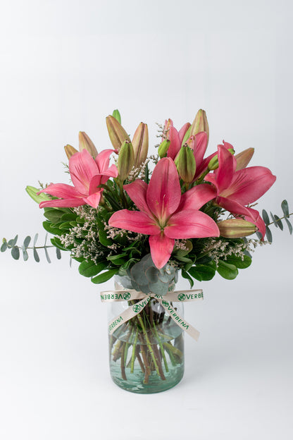 Las Brisas / Lilium Rosa M SLP