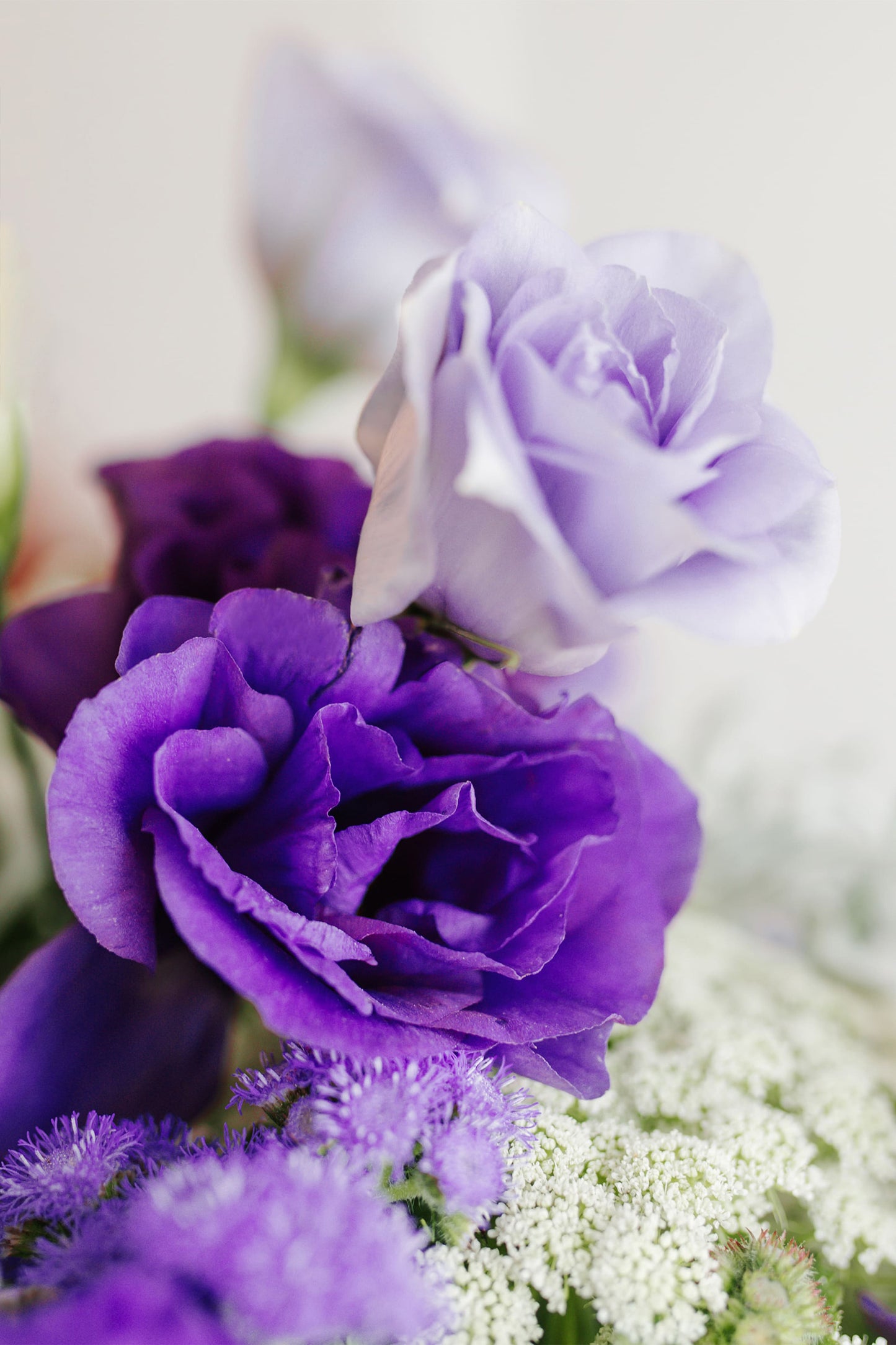 Amorcito Corazón Flores.