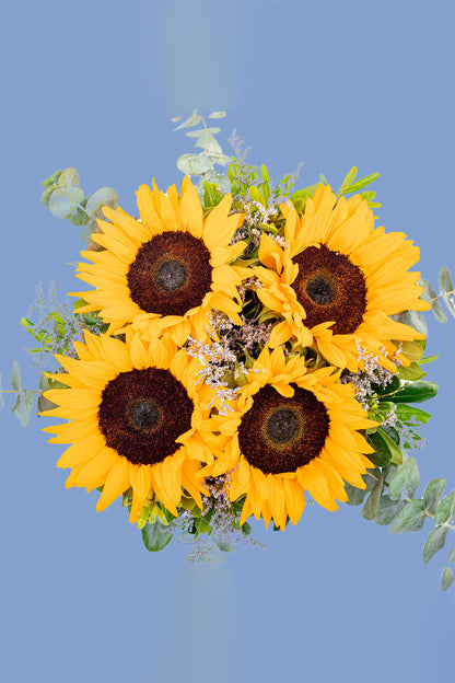 Ojos Color Miel Flores - Girasoles con cerámica