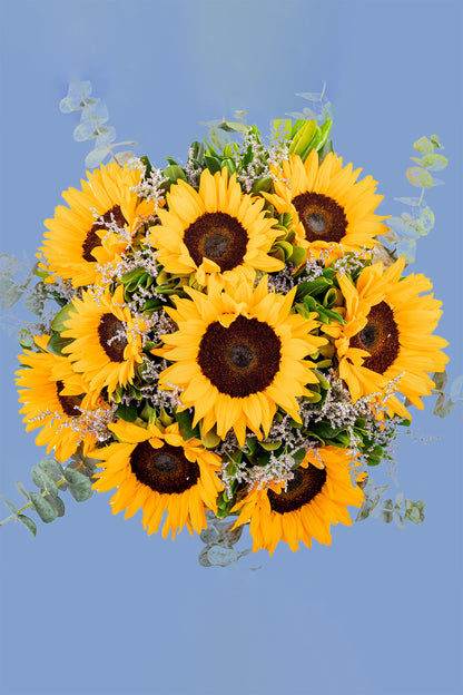 Ojos Color Miel Flores - Girasoles con cerámica