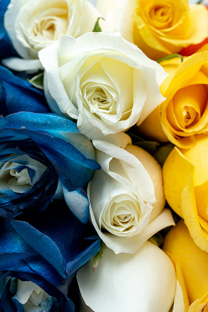 Pride // Flores